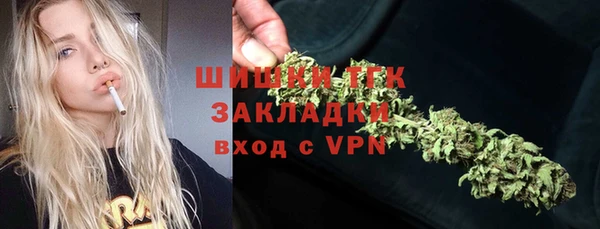 сатива Беломорск
