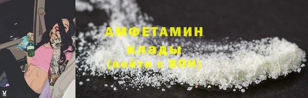 сатива Беломорск