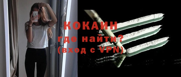 PSILOCYBIN Белокуриха