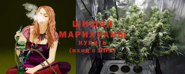 PSILOCYBIN Белокуриха