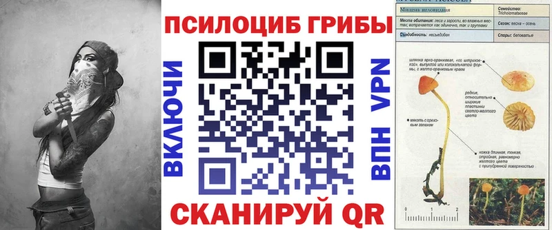 где продают наркотики  omg сайт  это формула  Кудымкар  Псилоцибиновые грибы Psilocybine cubensis 